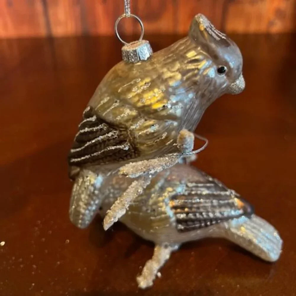 Set Of 3 Glass Bird on brach Christmas Ornaments With Glitter‎ Accents Hanging